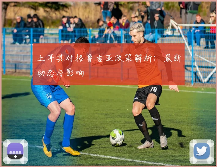 土耳其对格鲁吉亚政策解析：最新动态与影响