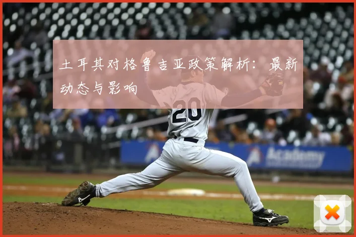 土耳其对格鲁吉亚政策解析：最新动态与影响