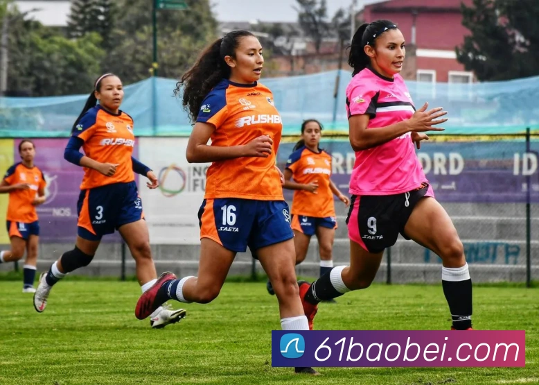 米兰网页版登录入口服务体系