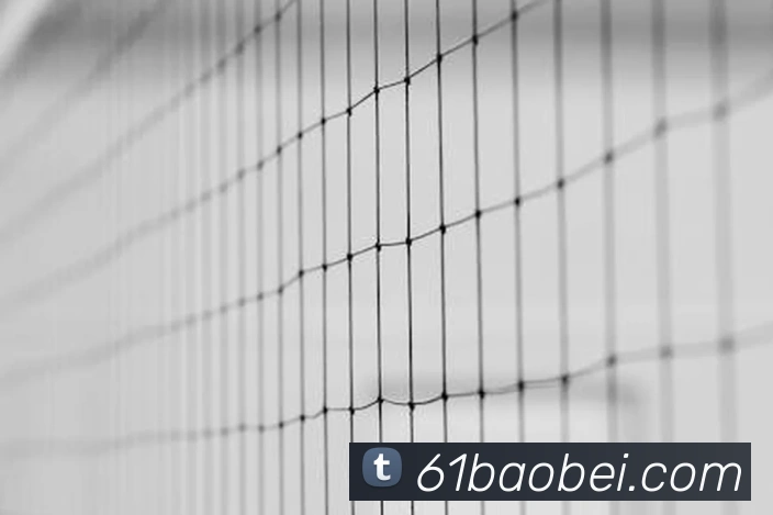 米兰网页版登录入口APP 体育赛事宣传图